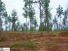 Lot 14 Stewart Dairy Road, Fountain Inn SC 29645